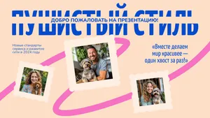 Бизнес-презентация о достижениях салона. 10 слайдов