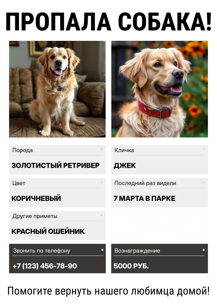 Плакат о пропаже питомца