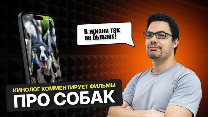 Обложка для видео о фактах от кинолога