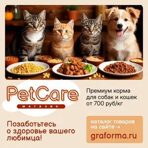 Реклама магазина товаров для животных