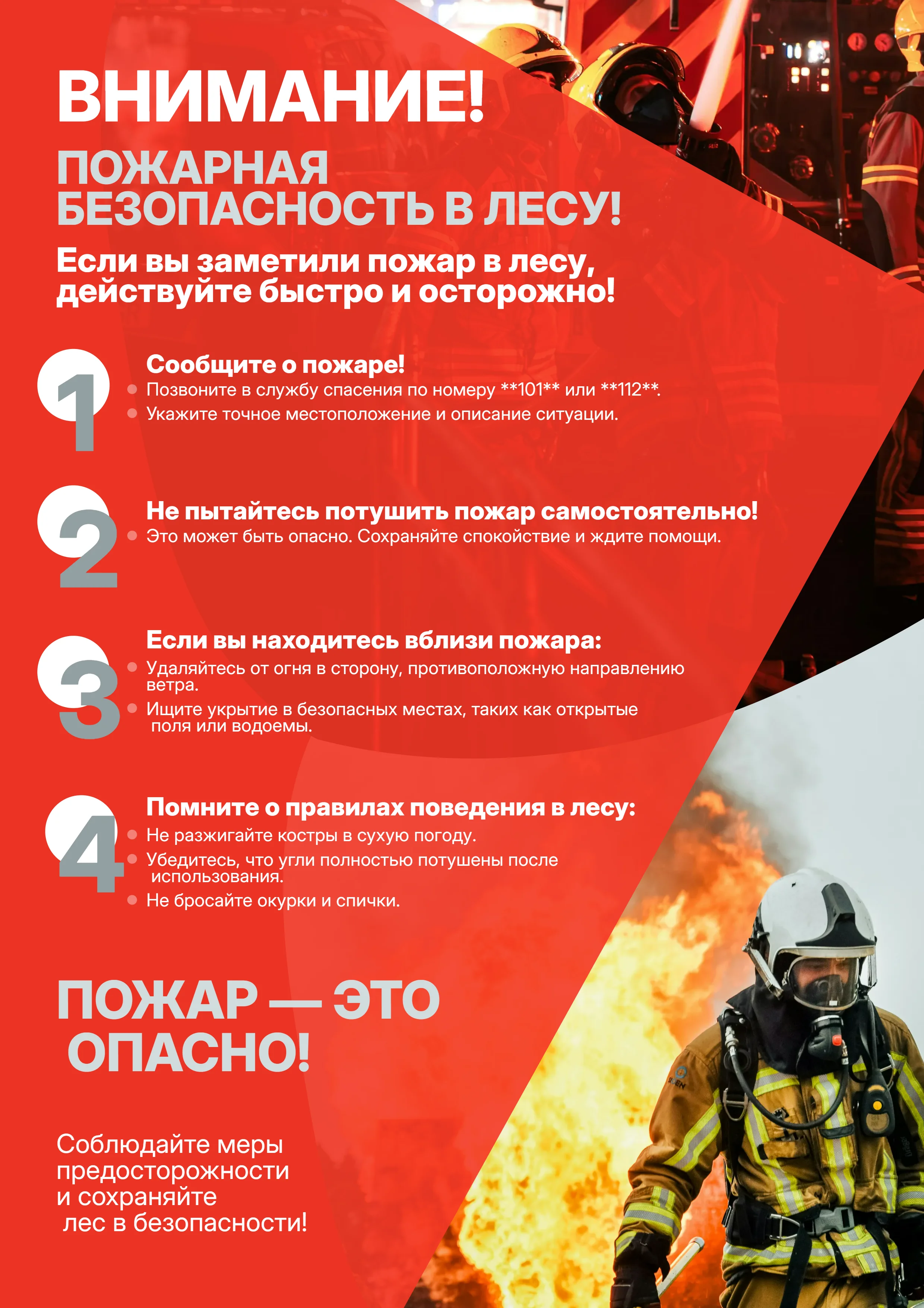 Плакат пожарная безопасность в лесу