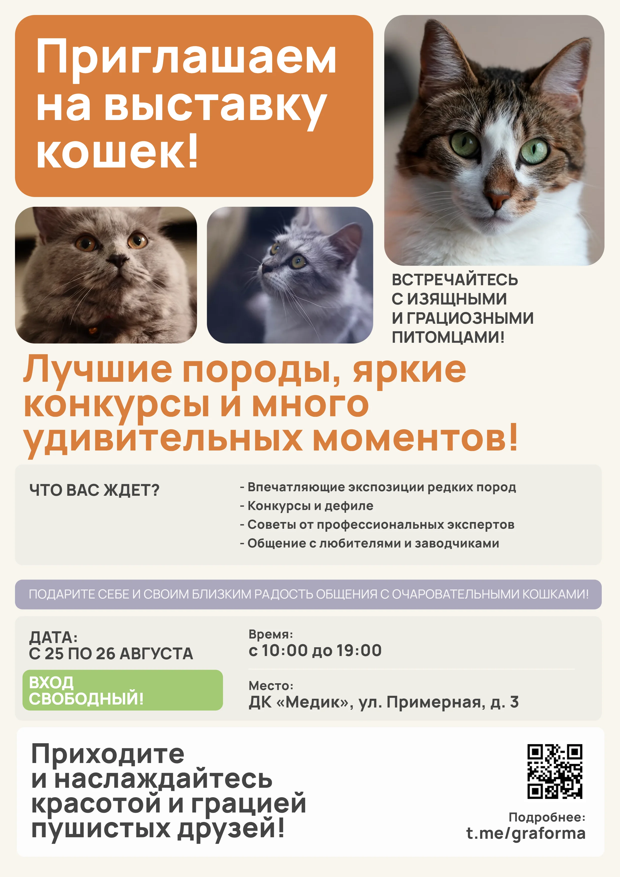 Плакат приглашение на выставку кошек