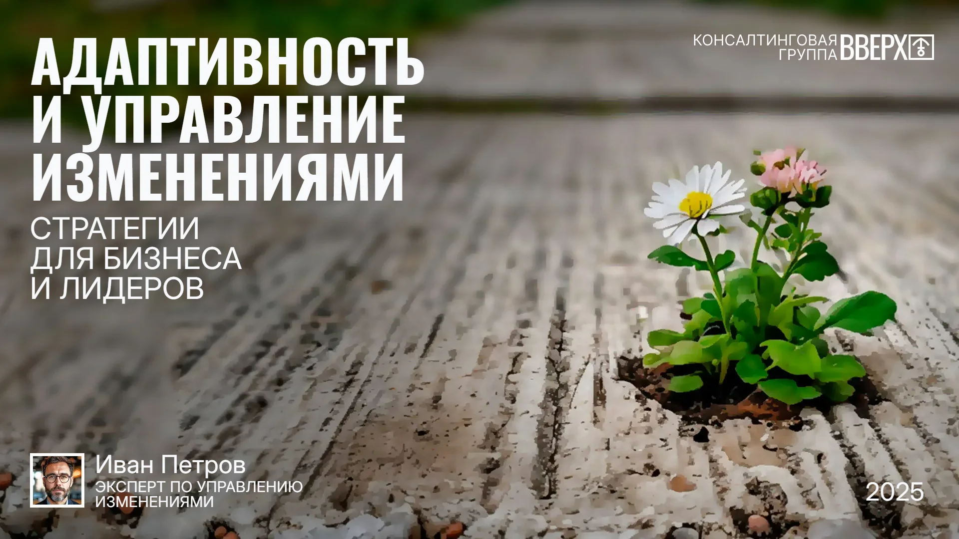 Презентация про адаптивность